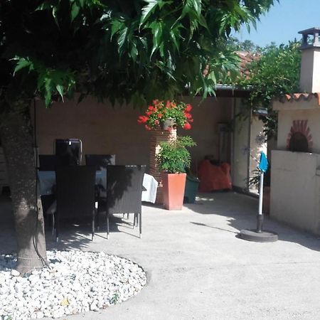 Appartement T2 Plain Pied Labastide-Saint-Georges Экстерьер фото